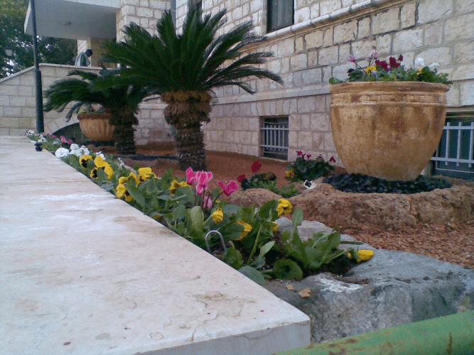 הקמה ועיצוב גינה 3